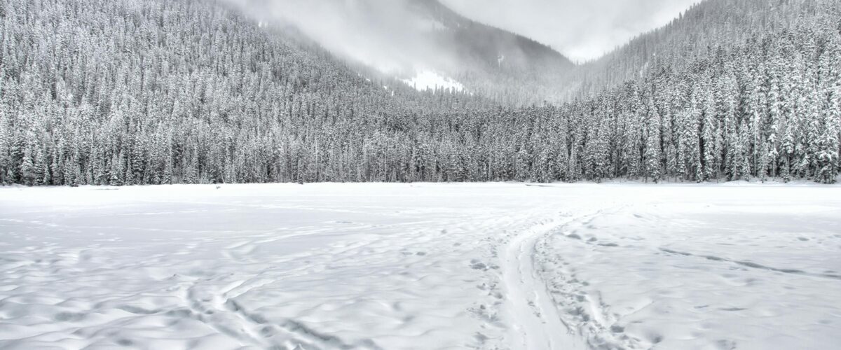 آب و هوای تورنتو